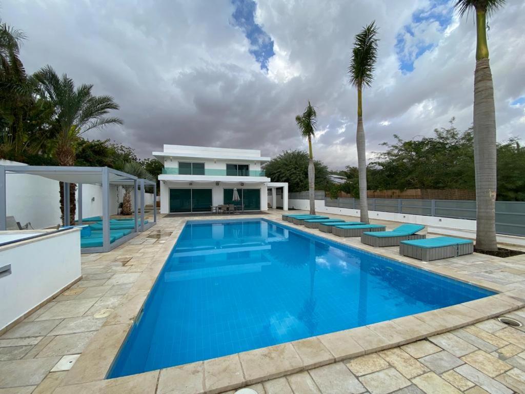 zait Eilat dream