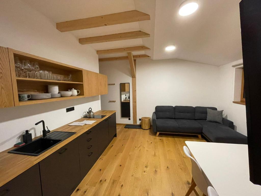 a kitchen and living room with a black couch at Apartmány Hacienda Boží Dar in Boží Dar