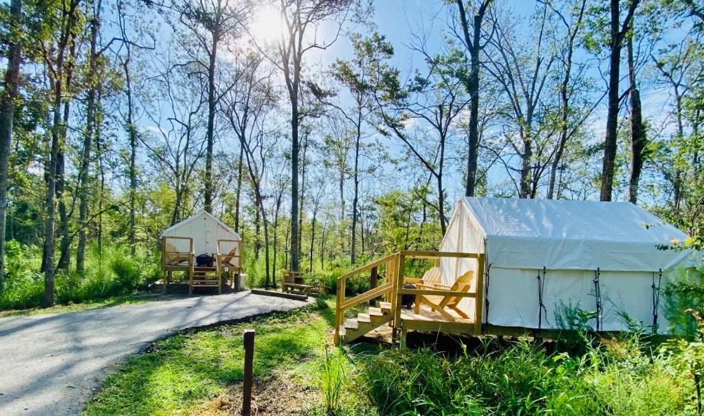 Luxury tent Tentrr Louisiana Tickfaw State Park Woodland D Double