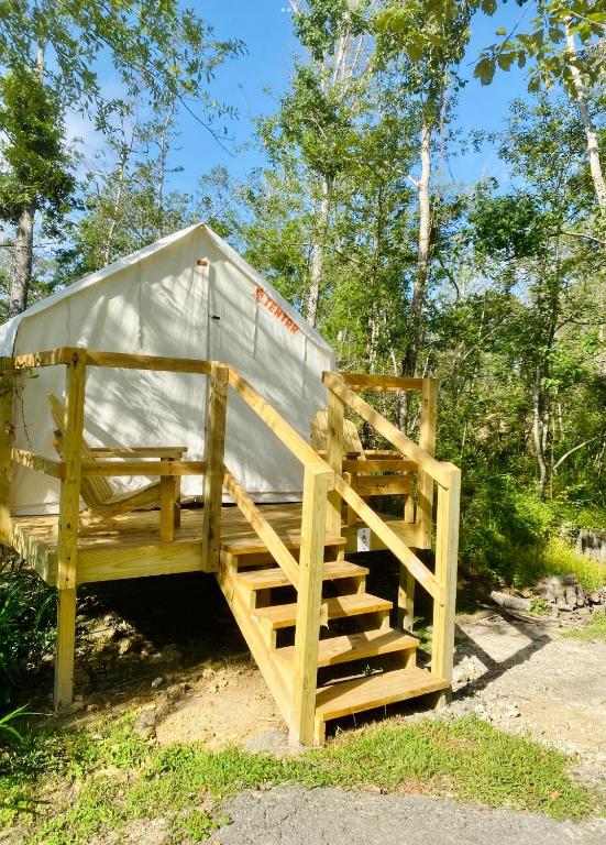Luxury tent Tentrr Louisiana Tickfaw State Park Woodland F Single