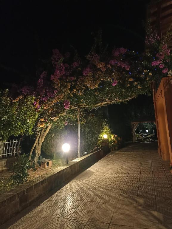 Vonkajšia záhrada v ubytovaní B&B LA BOUGANVILLE