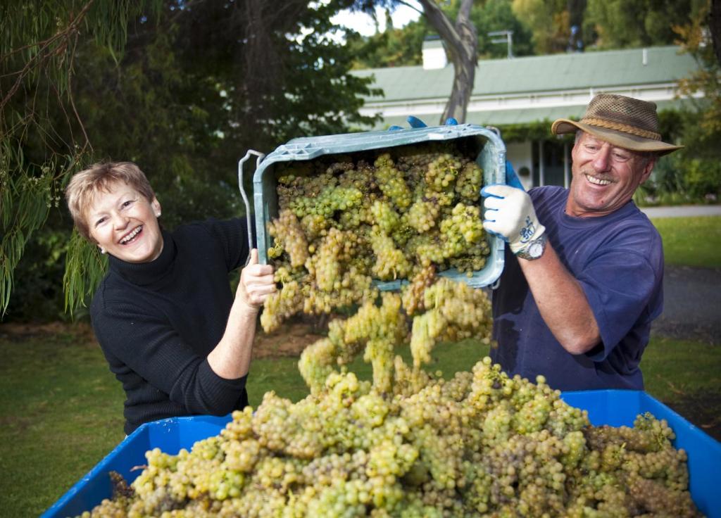 The Peppertree Luxury Accommodation - Resim 23