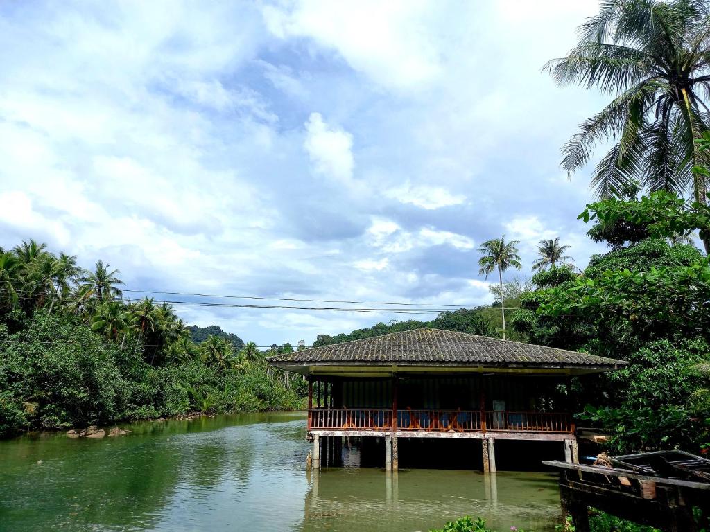 a house on a river next to a palm tree at Ao Jark Homestay in Ban Bang Bao