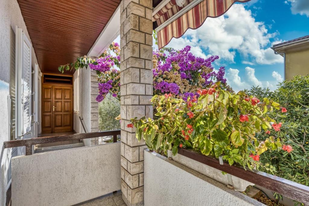Ogród w obiekcie Apartments Azra