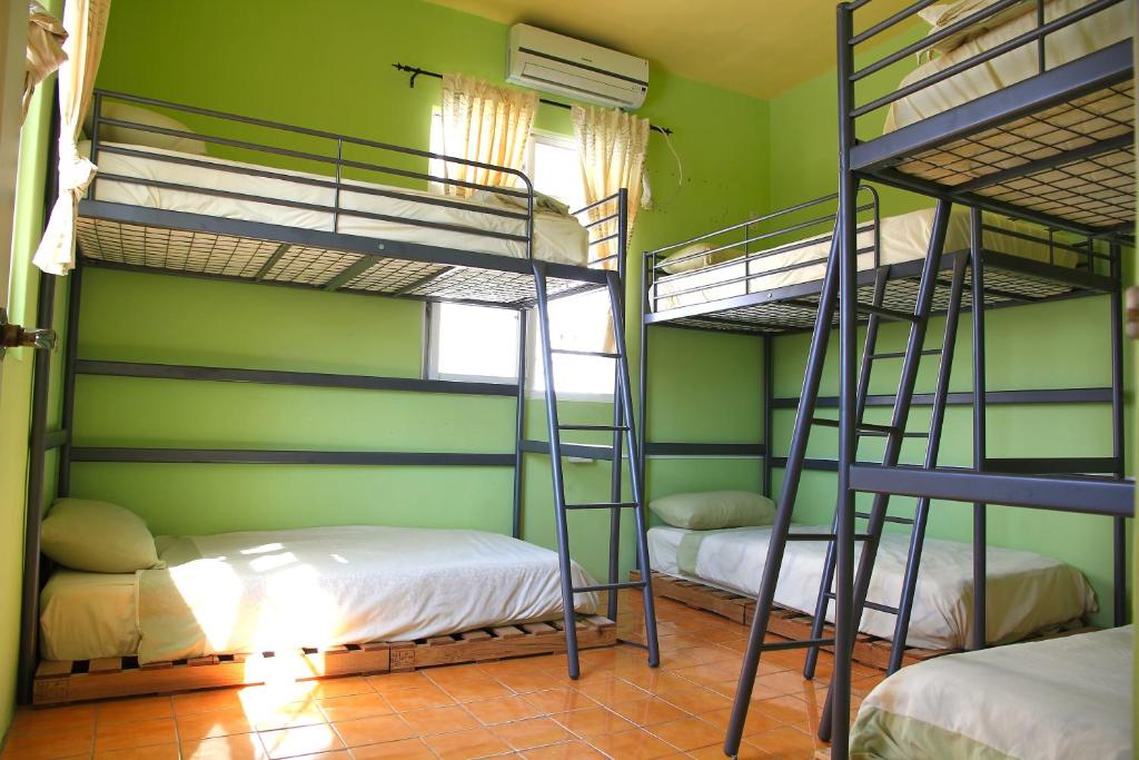 2 letti a castello in una camera con pareti verdi di WonderOcean Dive Hostel a Città Vecchia di Hengchun
