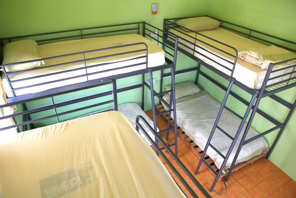 Letto o letti in una camera di WonderOcean Dive Hostel