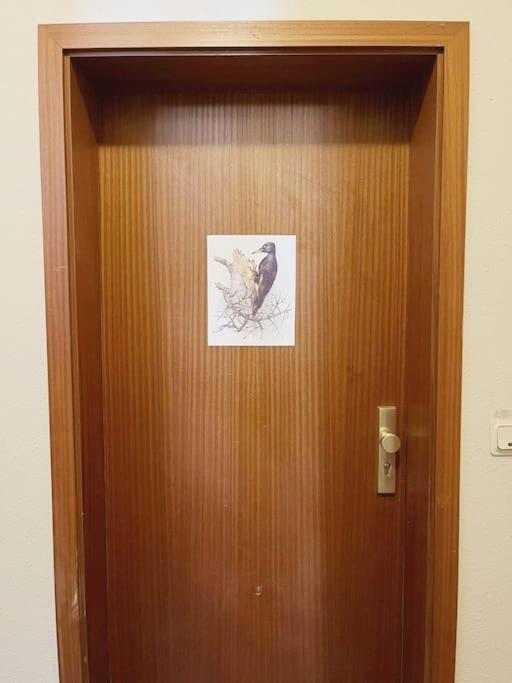 Appartement Buntspecht - 14