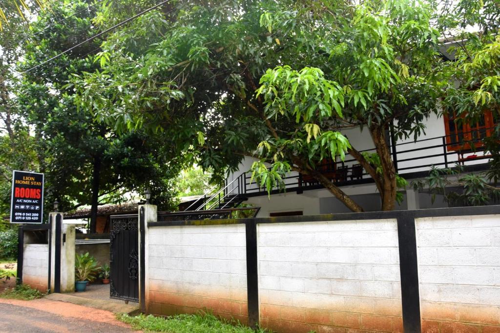 Fotografie z fotogalerie ubytování Lion Home Stay Anuradhapura v destinaci Anuradhápura