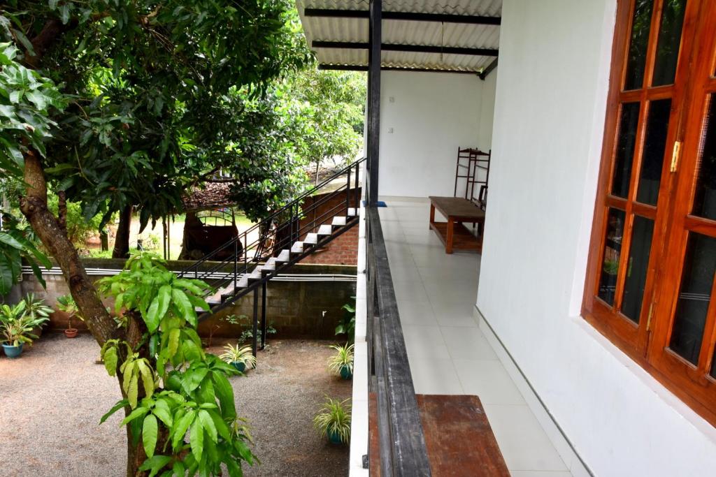 Zahrada ubytování Lion Home Stay Anuradhapura