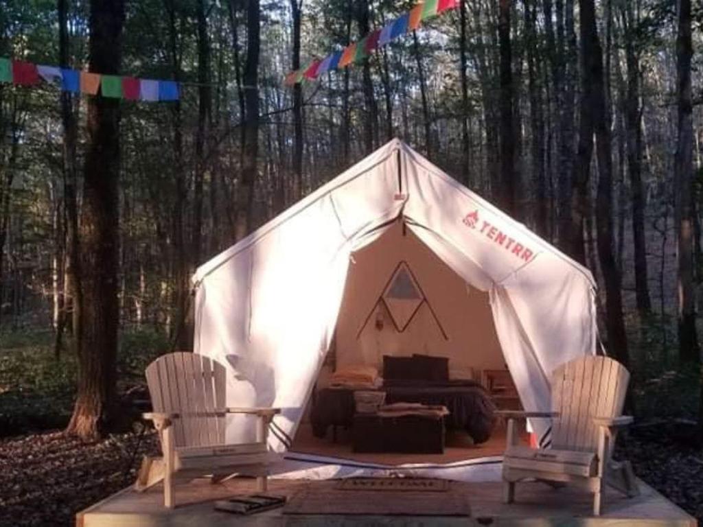 Tentrr Signature Site - Briar Hill Respite, Fly Creek – Updated 2023 Prices
