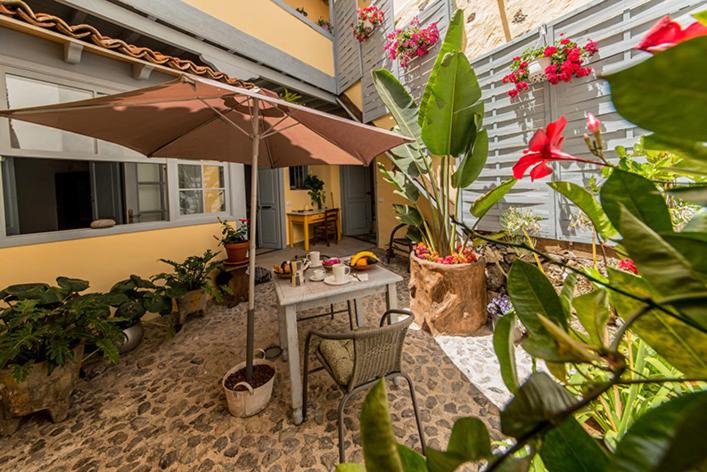 Vonkajšia záhrada v ubytovaní Mi casa es tu casa
