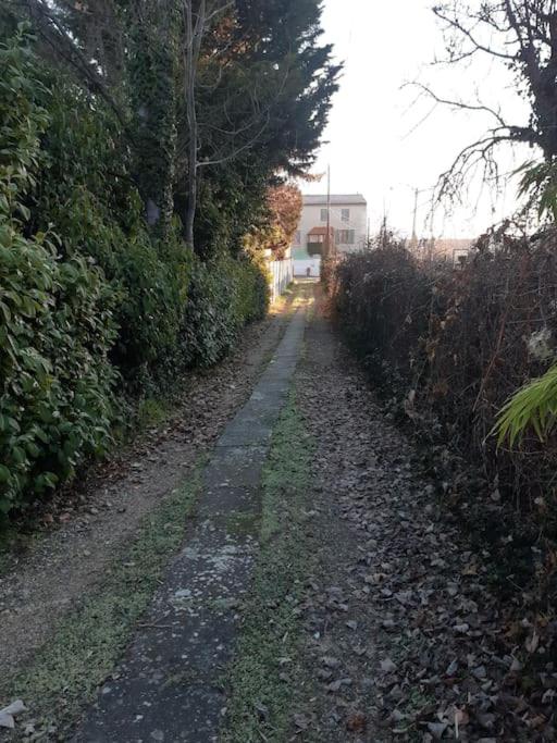 Vonkajšia záhrada v ubytovaní Petite maison très paisible avec jardin à Cournon - Puy de Dôme !