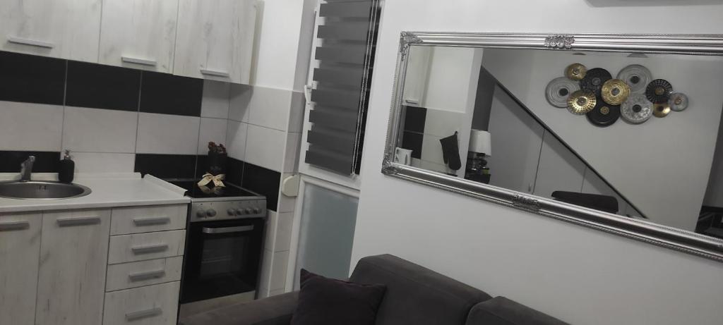Kuchyň nebo kuchyňský kout v ubytování Divcibare As apartmani