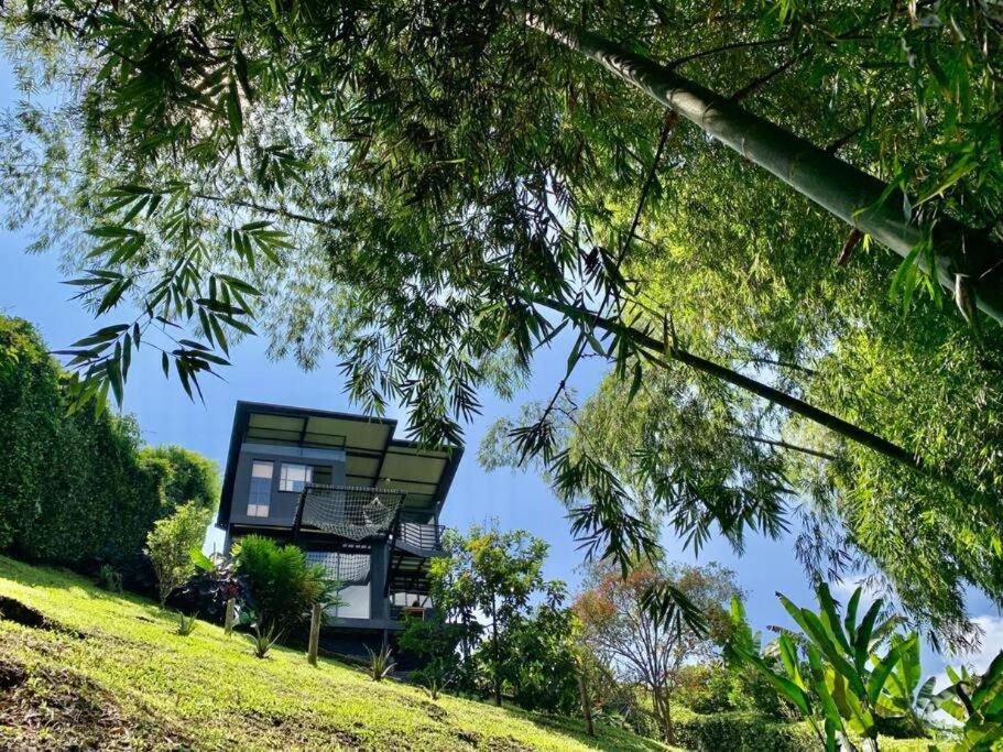 a house sitting on top of a hill with trees at Entre Bambus 1 in Pereira