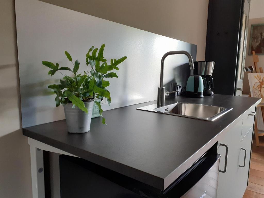 un comptoir de cuisine avec un évier et une plante en pot dans l'établissement Gastenverblijf By ús thús, à Anjum