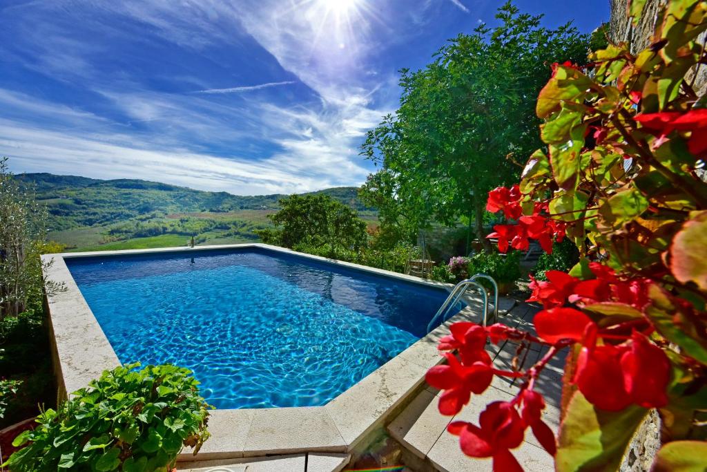 una piscina con vistas a las montañas en Villa Luna, en Motovun
