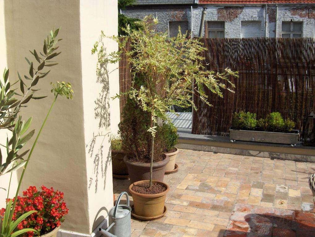 Zahrada ubytování B&B De Lachende Engel