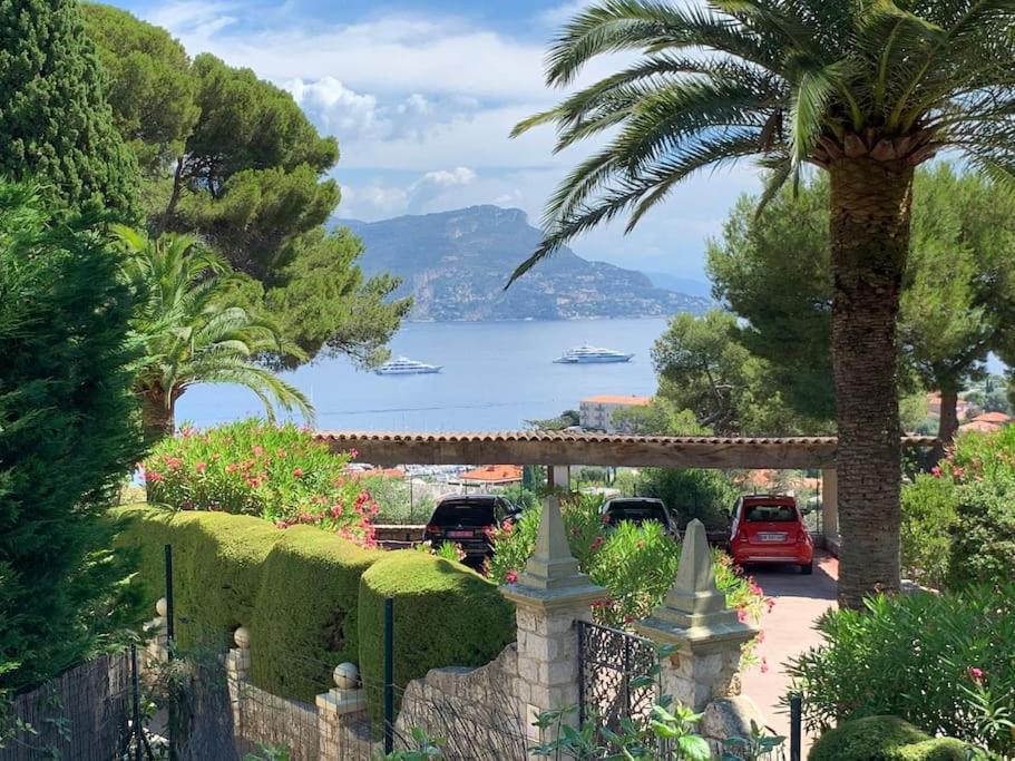 a garden with a palm tree and a view of the water at Charming Villa Saint-Jean-Cap-Ferrat in Saint-Jean-Cap-Ferrat