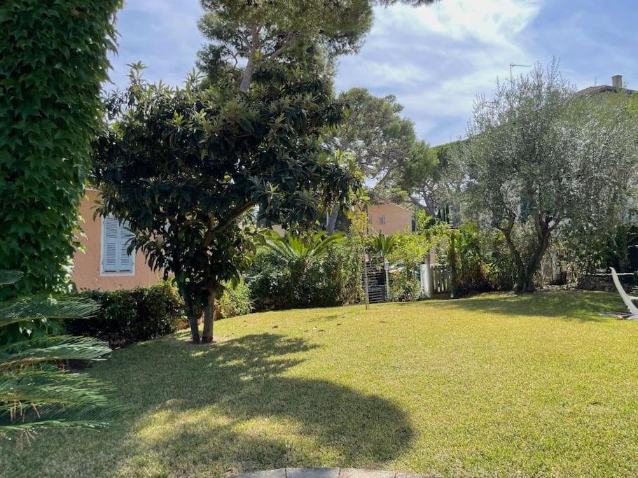 Сад в Charming Villa Saint-Jean-Cap-Ferrat