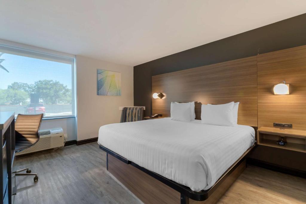 a hotel room with a large bed and a window at Best Western Corpus Christi Airport Hotel in Corpus Christi