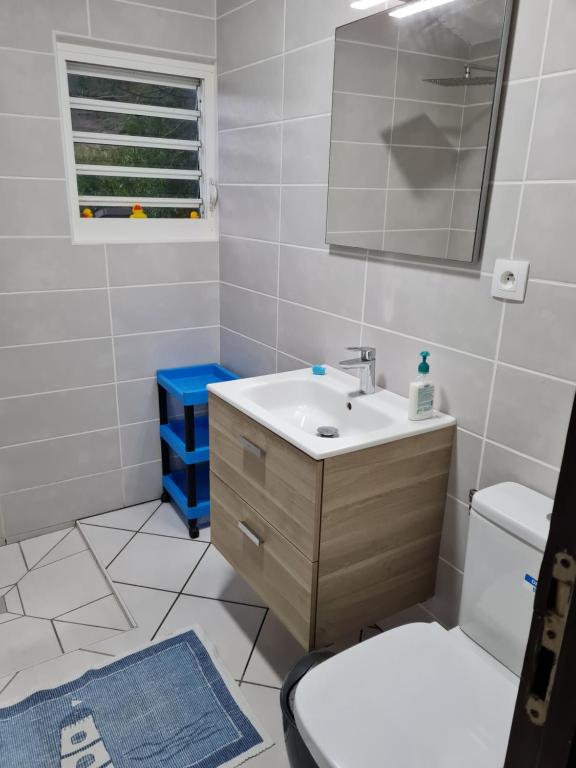 德豪特漁村的住宿－Chez Gisèle et Philippe，一间带水槽、卫生间和镜子的浴室