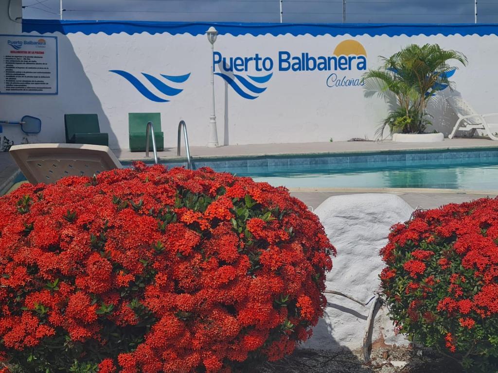 two red flowers in front of a swimming pool at HOSTERIA PUERTO BALBANERA in Tonsupa