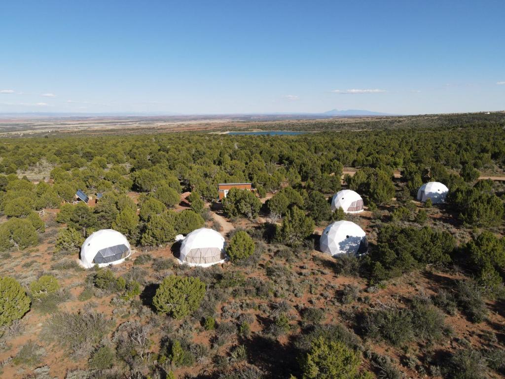 una vista aérea de un grupo de cúpulas en un bosque en Blue Mountain Domes - The WOW Experience en Monticello