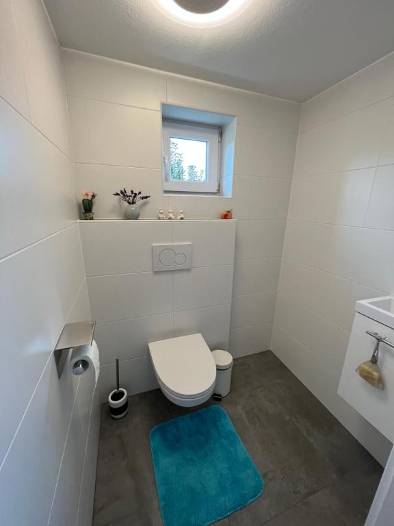 Koupelna v ubytování Ferienhaus Sausalblick