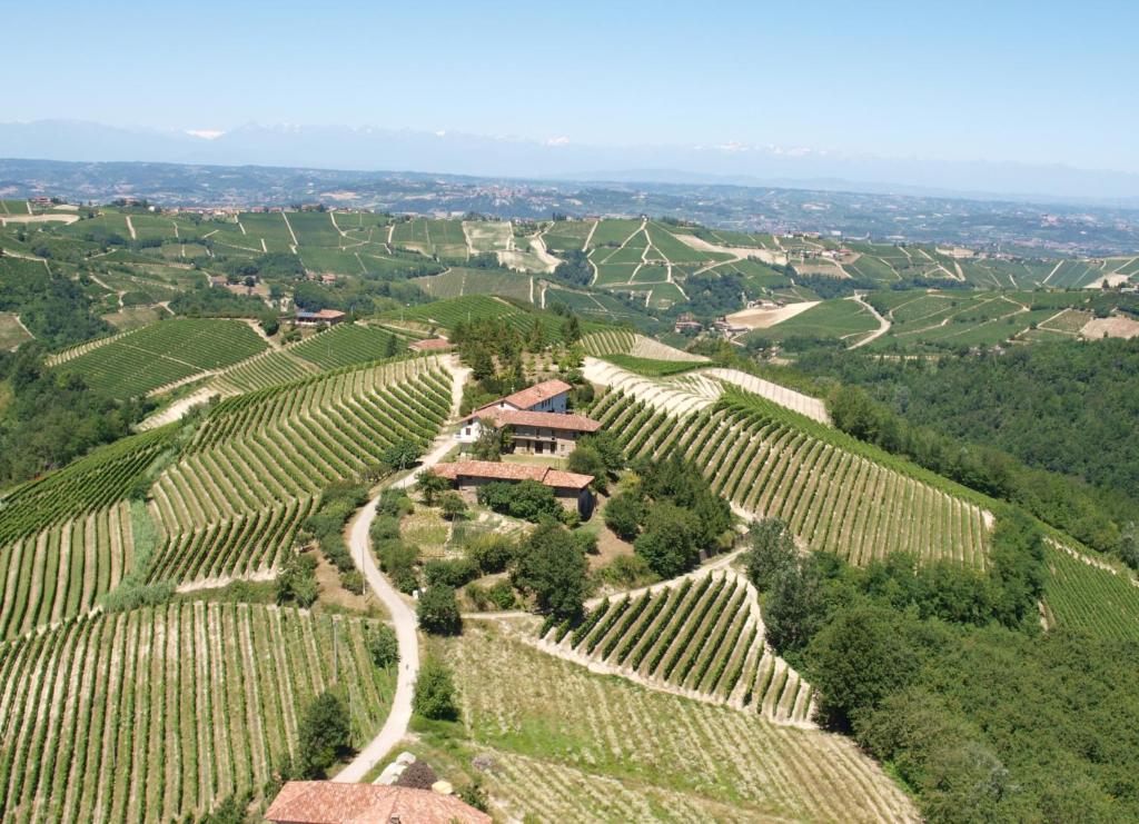 eine Luftansicht eines Weinbergs in den Hügeln in der Unterkunft Ca der Forn the Bread Oven House in Cascina Bricchetto Langhe - Italy in Trezzo Tinella