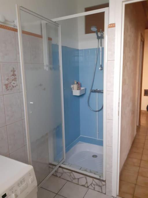 W łazience znajduje się prysznic ze szklanymi drzwiami. w obiekcie Gîte de la traverse, 2 à 6 personnes w mieście Allemant