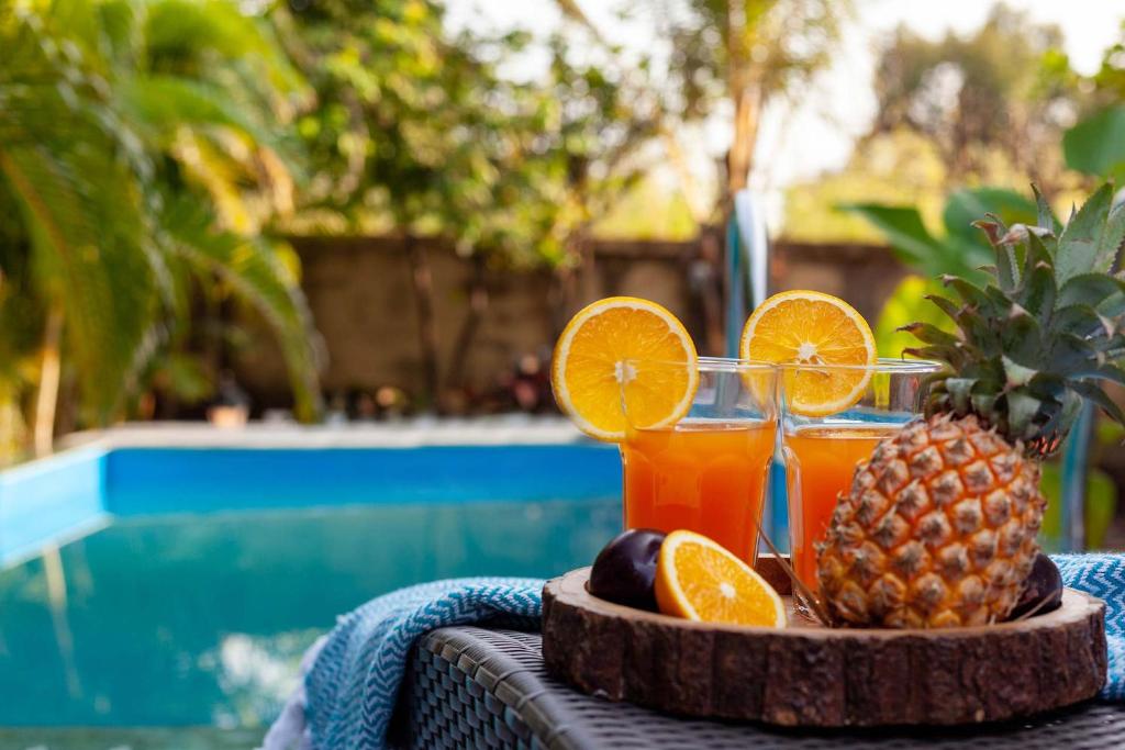 Gallery image of Wandering Greens in Pālghar