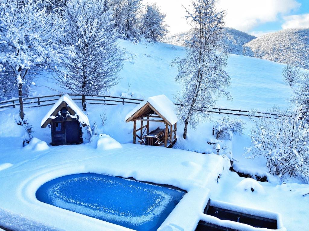 Villa Krupac - Bara semasa musim sejuk