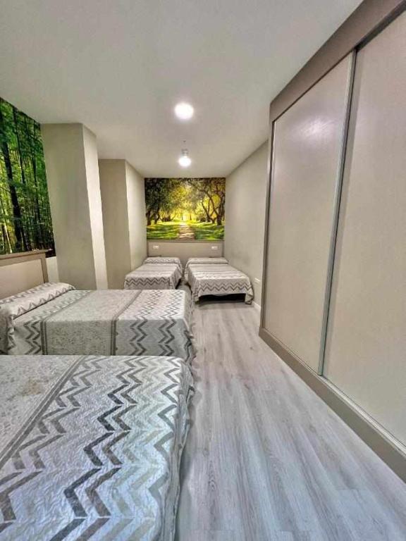 Hostal Viena Plaza Nueva - Resim 22