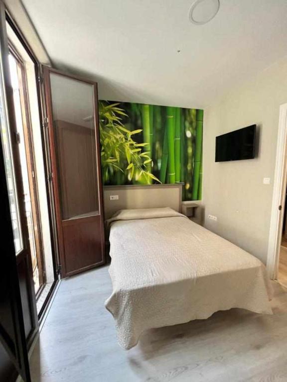 Hostal Viena Plaza Nueva - Resim 4