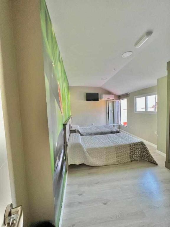 Hostal Viena Plaza Nueva - Resim 29