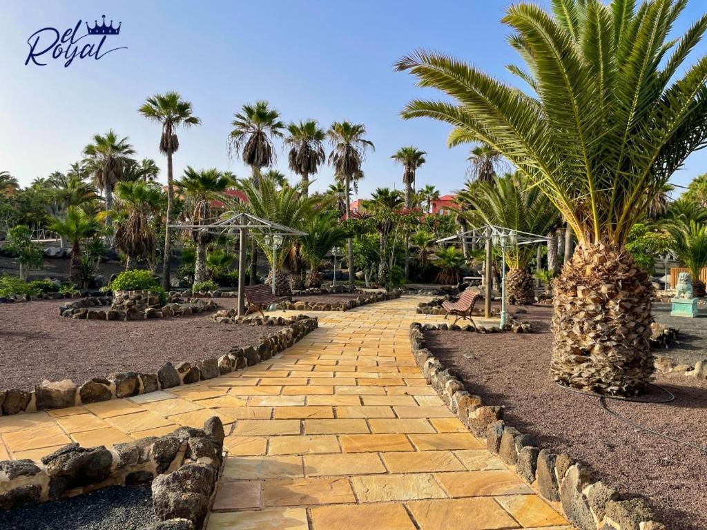 A garden outside B-Rent El Royal Corralejo
