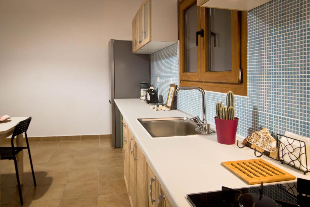 Kuchyň nebo kuchyňský kout v ubytování Persephone's Villa