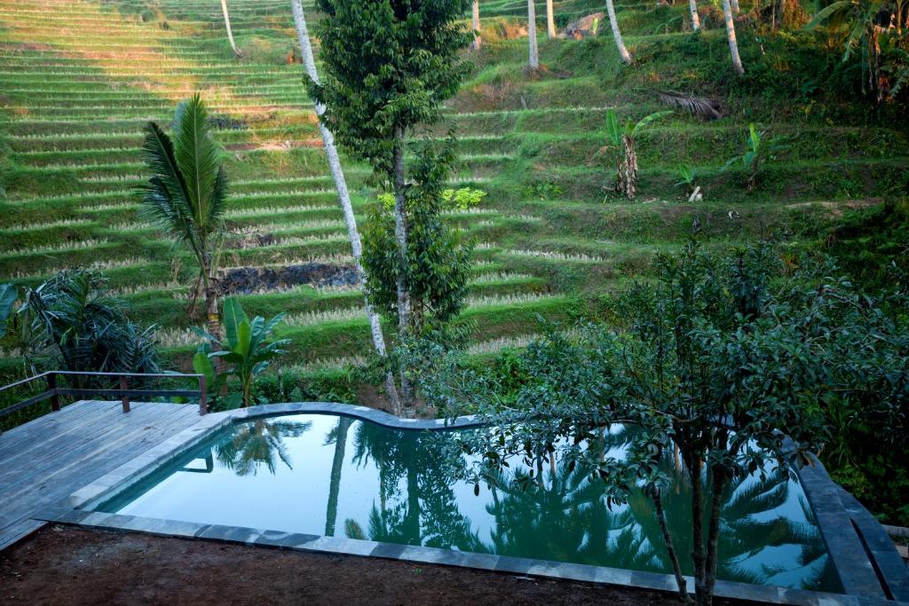 Be Bali Stay - SuiteTrails