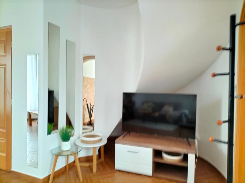 Televízia a/alebo spoločenská miestnosť v ubytovaní Sakura Studio Apartment