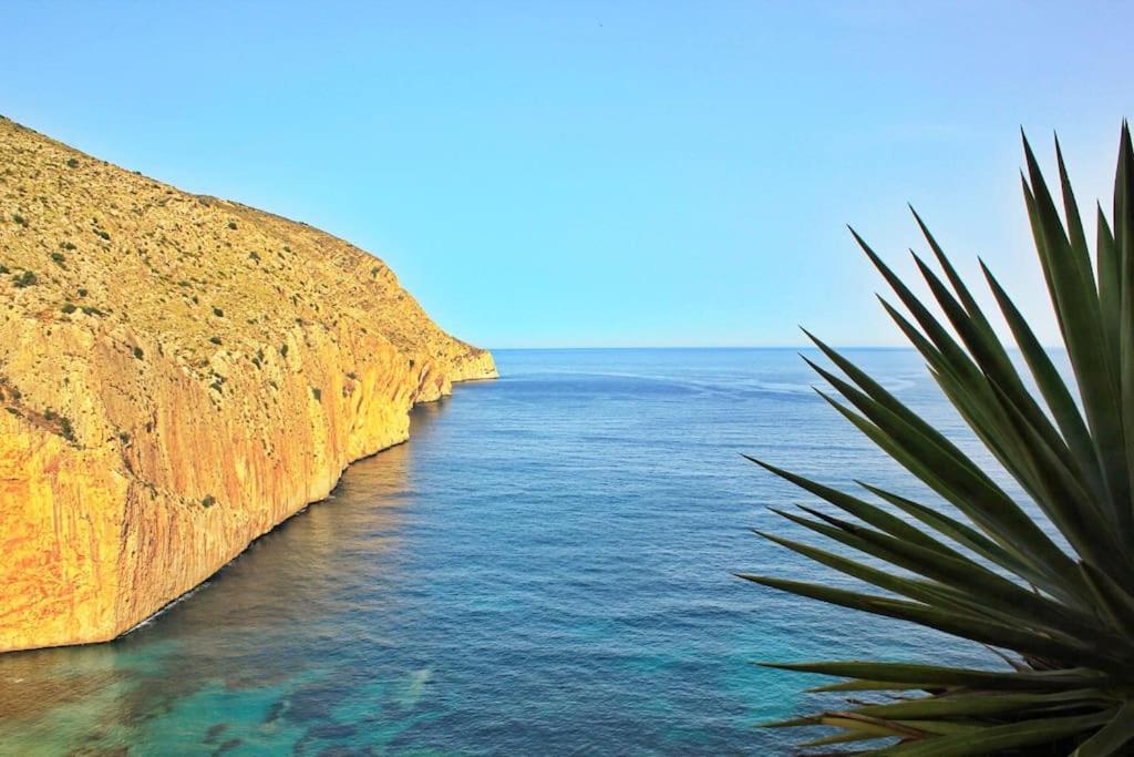 a view of the ocean with a palm tree at Pueblo Mascarat con vista al mar in Altea la Vieja