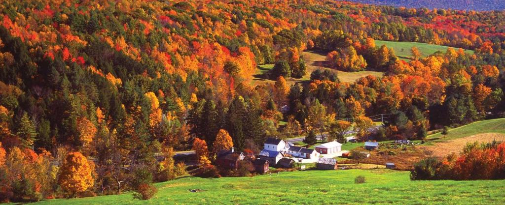 una vista de otoño de una casa en un bosque en Charming 120-year-old farmhouse by the creek., en Starlight