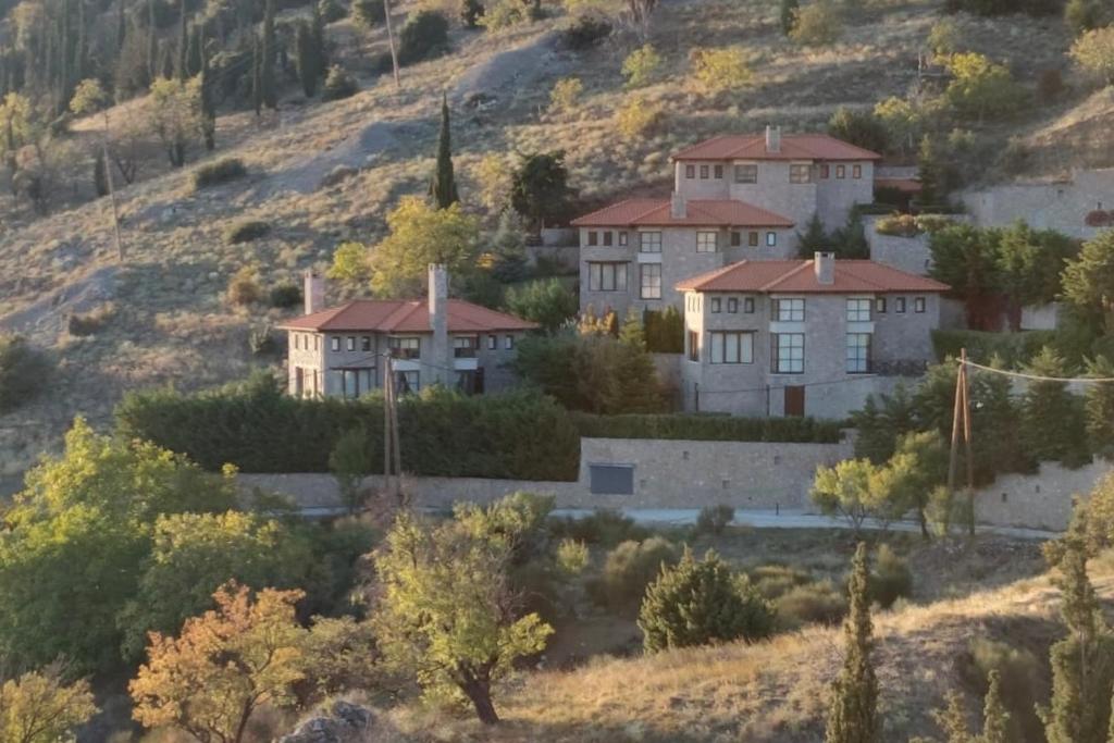 阿拉霍瓦的住宿－Plethora Arachova Luxury Chalet，山顶上一群房子