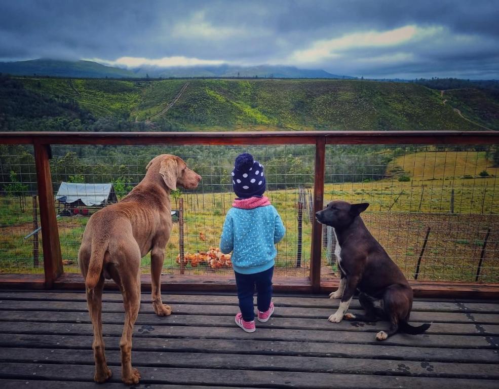 Ein kleines Mädchen steht neben zwei Hunden auf dem Deck in der Unterkunft Summer Villa in Mossel Bay