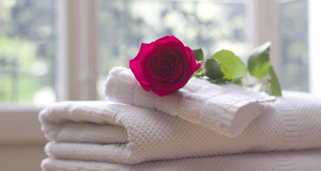 een roos bovenop de handdoeken met een bloem erop bij Hotel Pension Petra in Bad Zwischenahn