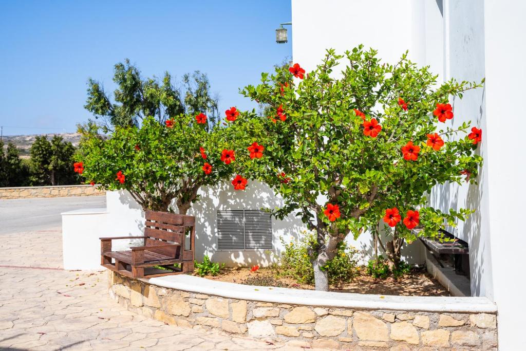 a bench sitting in front of a building with red flowers at Irini Hotel in Afiartis