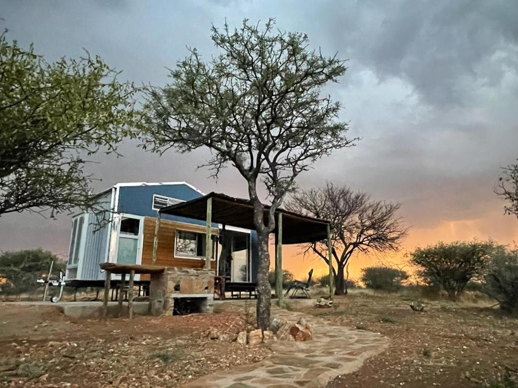 ein kleines blaues Haus auf einem Feld mit einem Baum in der Unterkunft BellaTiny, Tiny House & Gypsy Wagon in Ondekaremba