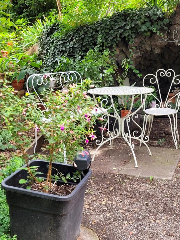 a table and a chair and a table and flowers at Studio19 in Clermont-Ferrand