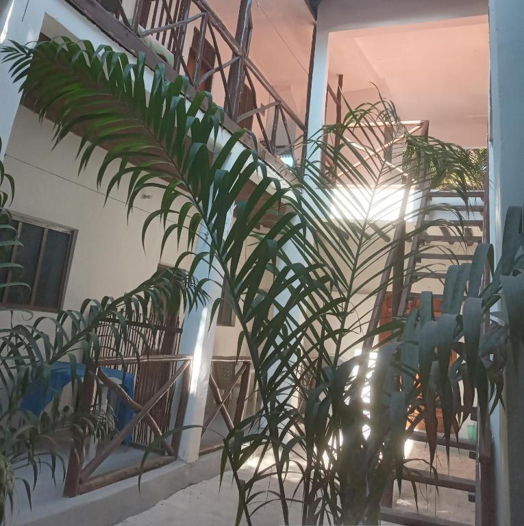 Fotografie z fotogalerie ubytování New Iddi Villa v destinaci Jambiani