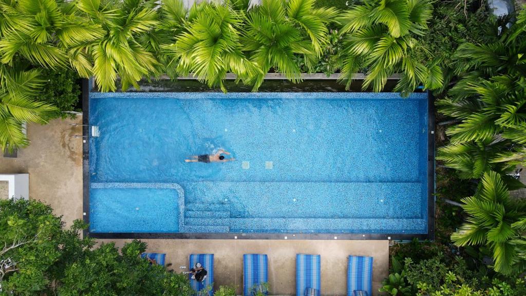 an overhead view of a person swimming in a swimming pool at DeeProm Pattaya Hotel in Pattaya Central