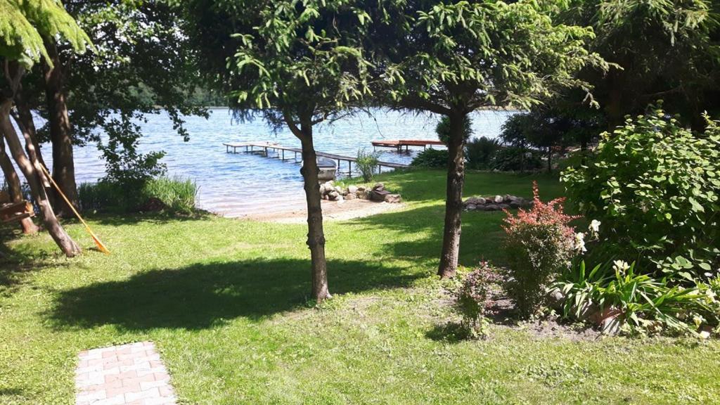 un patio con árboles y un muelle en el agua en domek letniskowy Majdy własna plaża, en Majdy